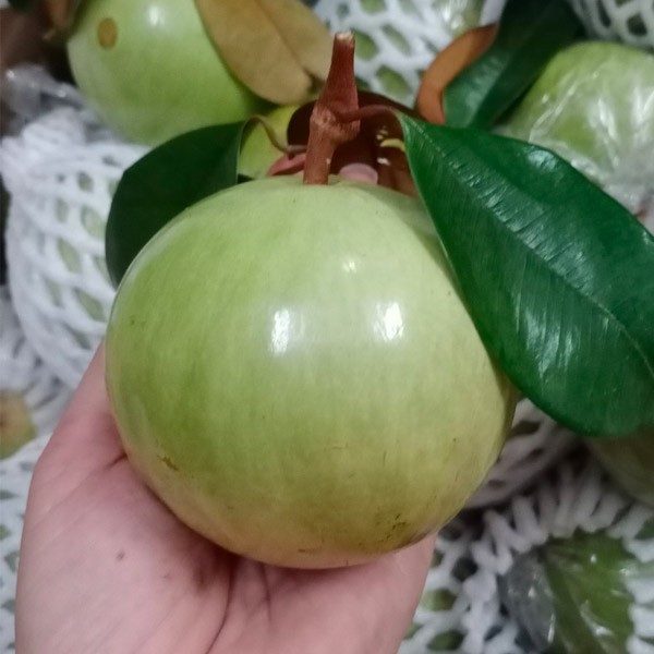 (HỘ KINH DOANH) PHÚ ĐỨC